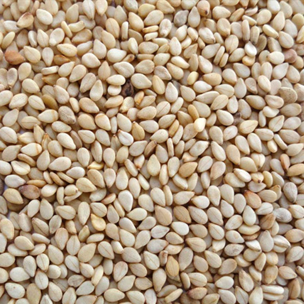 Sesame Seeds